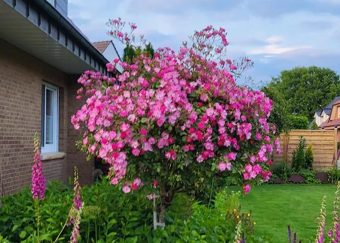 Apartamento In Spelle-venhaus *